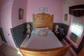 Inn of the Six-Toed Cat