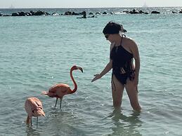 Central Boutique Hotel