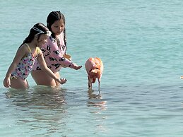 Central Boutique Hotel