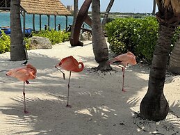 Central Boutique Hotel