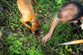 Agriturismo Borgo Scaffaia