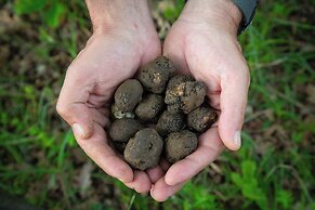 Agriturismo Borgo Scaffaia