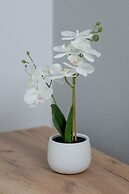 Apartment in Rzeszów by Renters