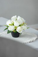 Apartment in Rzeszów by Renters