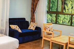 victoria view boutique hotels and tours