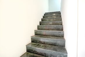 Fabexpress Green View