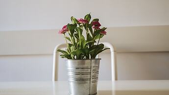 Marina Bike Family Home