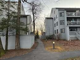 Condo Wintergreen pet Friendly Pool Access