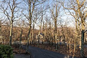 Wintergreen Retreat Jacuzzi Sauna dog Friendly