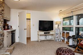 Wintergreen Retreat Jacuzzi Sauna dog Friendly