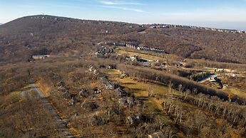 Wintergreen Retreat Jacuzzi Sauna dog Friendly