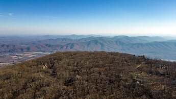 Wintergreen Retreat Jacuzzi Sauna dog Friendly