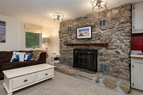 Wintergreen Retreat Jacuzzi Sauna dog Friendly