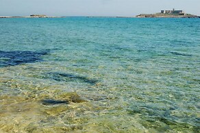 Villa and Depandance Buonivini With Swimming Pool for Exclusive use - 