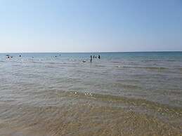 Villa and Depandance Buonivini With Swimming Pool for Exclusive use - 