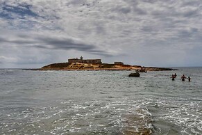 Villa and Depandance Buonivini With Swimming Pool for Exclusive use - 