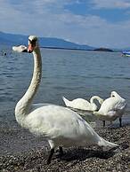 Magical View Studios 1 Asproneri, Kamena Vourla