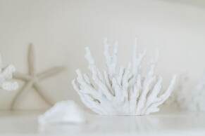 Gorgeous Bungalow With a Backyard Deck