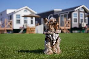 Solana Nikko