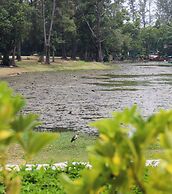 Cassia Residences by NLA