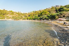 Bodrum Bargilya Villaları