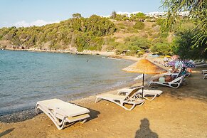 Bodrum Bargilya Villaları