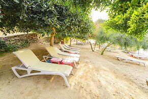 Bodrum Bargilya Villaları