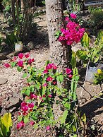 EcoVillas las Melinas