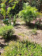 EcoVillas las Melinas