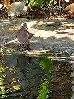 EcoVillas las Melinas