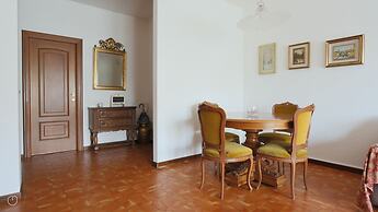 Noseda 5