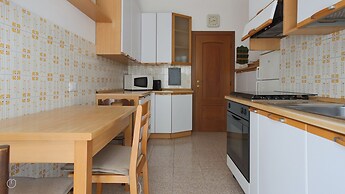 Noseda 5