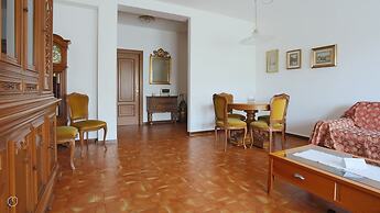 Noseda 5
