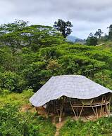 Blue Dot - jungle eco hostel