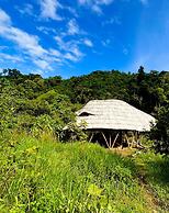 Blue Dot - jungle eco hostel