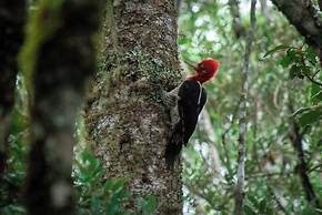 Sítio Mar de Nuvens Chalés de Luxo
