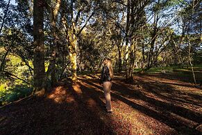 Sítio Mar de Nuvens Chalés de Luxo