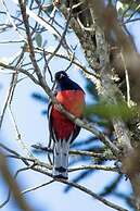 Sítio Mar de Nuvens Chalés de Luxo