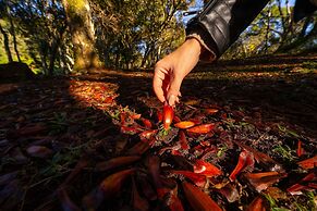 Sítio Mar de Nuvens Chalés de Luxo
