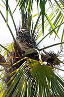 Sítio Mar de Nuvens Chalés de Luxo