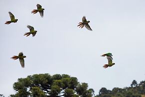 Sítio Mar de Nuvens Chalés de Luxo