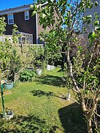 Cozy Pet Friendly Home