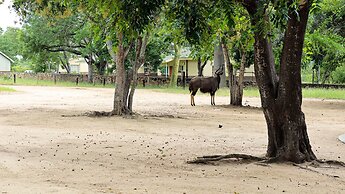 Self Catering Chalets - Manyeleti