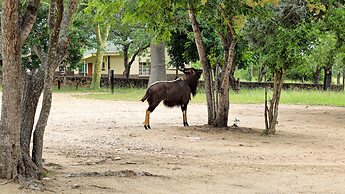 Self Catering Chalets - Manyeleti