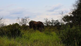 Self Catering Chalets - Manyeleti