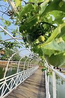 The Park Resort Mondulkiri