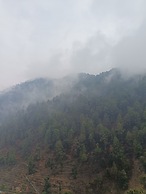 Shadhna Holiday Homes