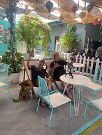 Dai Duong Lagi Homestay & Coffee