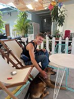 Dai Duong Lagi Homestay & Coffee