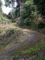 Daphnus Apartment in Agios Konstantinos